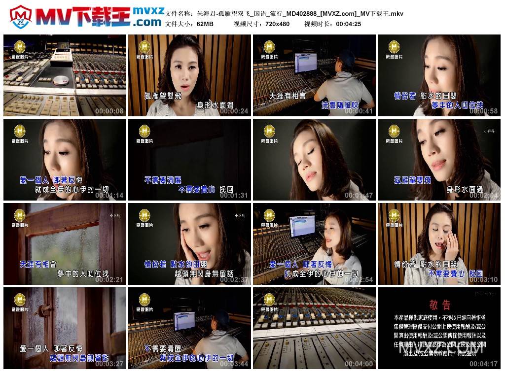 朱海君-孤雁望双飞_国语_流行_MD402888